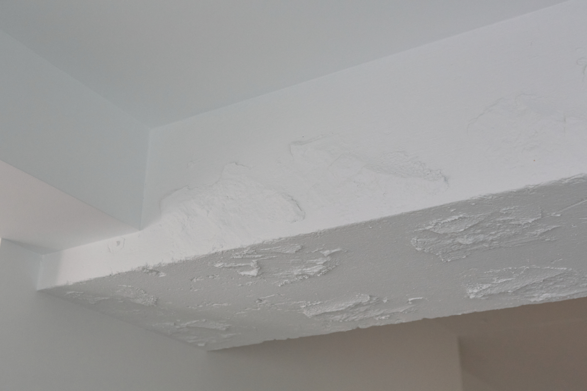 20251121_TheR_Nogizaka4442